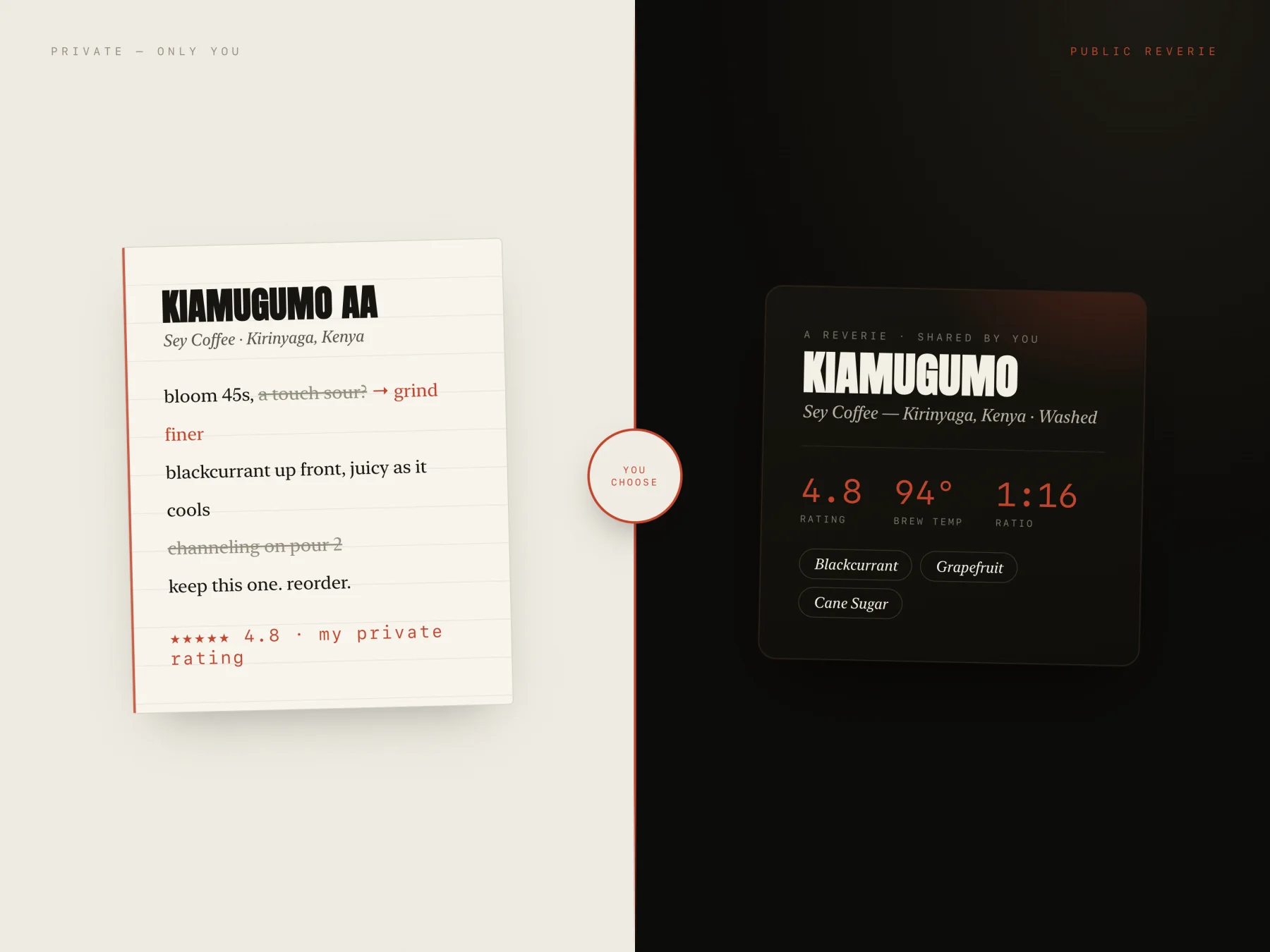 A private journal page beside its optional public counterpart